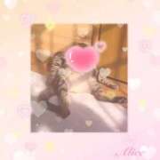 ヒメ日記 2026/03/17 11:11 投稿 ありす スピードエコ京橋店