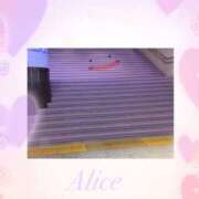 ヒメ日記 2026/03/29 11:21 投稿 ありす スピードエコ京橋店