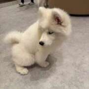 ヒメ日記 2025/01/05 12:31 投稿 マヤ ラブコレクション