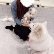 ヒメ日記 2025/06/05 23:31 投稿 マヤ ラブコレクション