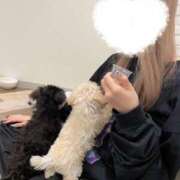 ヒメ日記 2025/06/15 23:01 投稿 マヤ ラブコレクション