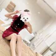 マヤ しゅっきん? ラブコレクション