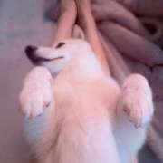 ヒメ日記 2025/11/21 22:49 投稿 なみ ROYAL STAR