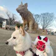 なみ 🐕 ROYAL STAR