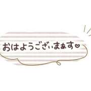 ヒメ日記 2024/11/15 09:42 投稿 東てるみ ギン妻パラダイス 日本橋店