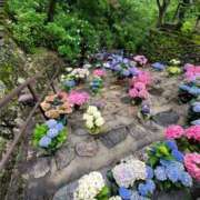 ヒメ日記 2025/06/17 10:29 投稿 土屋　あきな ギン妻パラダイス 日本橋店