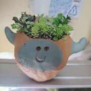 ヒメ日記 2025/06/26 10:20 投稿 土屋　あきな ギン妻パラダイス 日本橋店