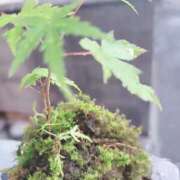 ヒメ日記 2025/07/28 07:20 投稿 土屋　あきな ギン妻パラダイス 日本橋店