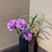 ヒメ日記 2025/08/21 18:03 投稿 土屋　あきな ギン妻パラダイス 日本橋店