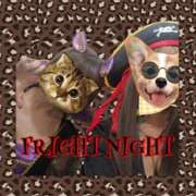 ヒメ日記 2025/10/31 13:22 投稿 土屋　あきな ギン妻パラダイス 日本橋店