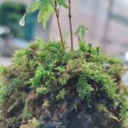 ヒメ日記 2025/12/31 19:46 投稿 土屋　あきな ギン妻パラダイス 日本橋店