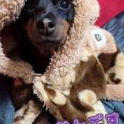 ヒメ日記 2026/01/11 14:12 投稿 土屋　あきな ギン妻パラダイス 日本橋店