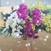 ヒメ日記 2026/01/19 12:26 投稿 土屋　あきな ギン妻パラダイス 日本橋店