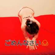 ヒメ日記 2026/03/05 08:52 投稿 土屋　あきな ギン妻パラダイス 日本橋店