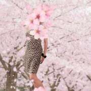 ヒメ日記 2026/04/02 10:16 投稿 土屋　あきな ギン妻パラダイス 日本橋店