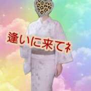 ヒメ日記 2026/07/23 13:38 投稿 土屋　あきな ギン妻パラダイス 日本橋店