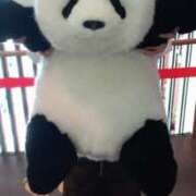 ヒメ日記 2025/04/24 10:31 投稿 大谷　はな ギン妻パラダイス 日本橋店