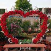 ヒメ日記 2025/05/11 18:30 投稿 大谷　はな ギン妻パラダイス 日本橋店