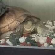 ヒメ日記 2025/08/24 12:14 投稿 大谷　はな ギン妻パラダイス 日本橋店