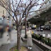 ヒメ日記 2025/03/31 14:40 投稿 小渕　友湖 ギン妻パラダイス 日本橋店