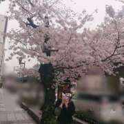 ヒメ日記 2025/04/08 18:37 投稿 小渕　友湖 ギン妻パラダイス 日本橋店