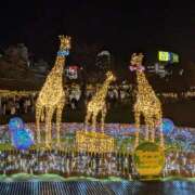 ヒメ日記 2025/12/25 18:01 投稿 小渕　友湖 ギン妻パラダイス 日本橋店