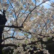 ヒメ日記 2026/04/03 11:59 投稿 深津　えりこ ギン妻パラダイス 日本橋店