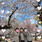 ヒメ日記 2026/04/03 17:29 投稿 深津　えりこ ギン妻パラダイス 日本橋店