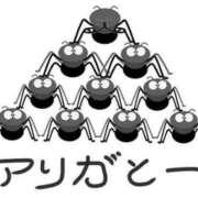 ヒメ日記 2023/08/18 07:56 投稿 桜井　るみ ギン妻パラダイス 日本橋店