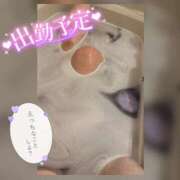 ヒメ日記 2024/12/09 11:20 投稿 なお 素人妻御奉仕倶楽部Hip's松戸店