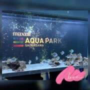 ヒメ日記 2025/01/18 19:37 投稿 なお 素人妻御奉仕倶楽部Hip's松戸店