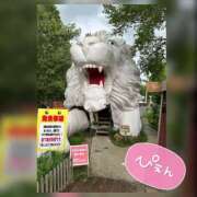 ヒメ日記 2025/02/01 19:47 投稿 なお 素人妻御奉仕倶楽部Hip's松戸店