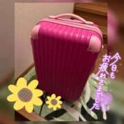 ヒメ日記 2025/05/10 22:26 投稿 なお 素人妻御奉仕倶楽部Hip's松戸店