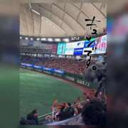 ヒメ日記 2025/08/23 21:58 投稿 なお 素人妻御奉仕倶楽部Hip's松戸店