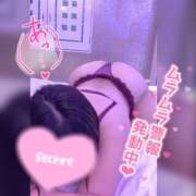 ヒメ日記 2026/06/11 10:19 投稿 なお 素人妻御奉仕倶楽部Hip's松戸店