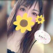 ヒメ日記 2026/08/03 09:19 投稿 なお 素人妻御奉仕倶楽部Hip's松戸店