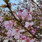 ヒメ日記 2026/03/20 09:08 投稿 岩崎あや 五十路マダム愛されたい熟女たち 津山店