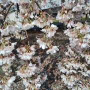 ヒメ日記 2026/03/31 18:32 投稿 岩崎あや 五十路マダム愛されたい熟女たち 津山店