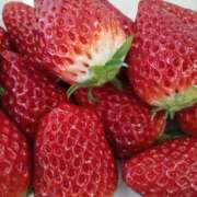 ヒメ日記 2026/04/02 01:28 投稿 岩崎あや 五十路マダム愛されたい熟女たち 津山店