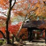 森つばさ つばさ頼り。 五十路マダム愛されたい熟女たち 津山店