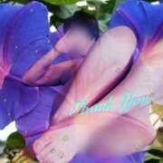 ヒメ日記 2025/07/12 17:10 投稿 篠塚恵美子 五十路マダム愛されたい熟女たち 津山店