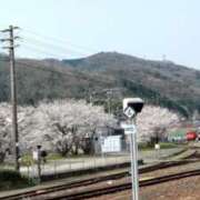 ヒメ日記 2025/04/05 10:00 投稿 立川真由子 五十路マダム愛されたい熟女たち 津山店