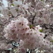 まな お久しぶりですっ 東京アロマスタイル