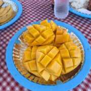 ヒメ日記 2026/04/23 14:44 投稿 まな 東京アロマスタイル