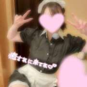 ヒメ日記 2025/11/19 14:52 投稿 新人はな☆極上清楚系美女 萌えラブ倉敷店