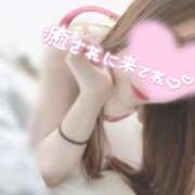 ヒメ日記 2026/02/19 15:02 投稿 新人はな☆極上清楚系美女 萌えラブ倉敷店