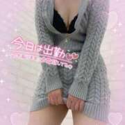 ヒメ日記 2025/05/06 10:34 投稿 ひなこ 即アポ奥さん〜名古屋店〜