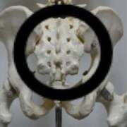 ヒメ日記 2024/12/28 13:01 投稿 りこ 性感マッサージ アロマじらし隊 西日暮里店