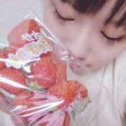 ヒメ日記 2025/04/21 03:41 投稿 あやな REDROOM (レッドルーム)