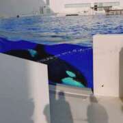 ヒメ日記 2025/05/19 04:17 投稿 あやな REDROOM (レッドルーム)